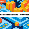 Data Visualization Like a Professional
